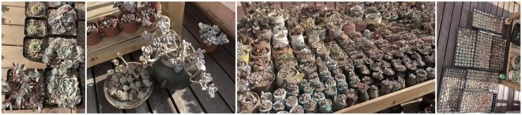 冷焰，从孤独黑客到互联网安全创业者：我常深夜躲在书房，背后冒冷汗 | 宅客故事