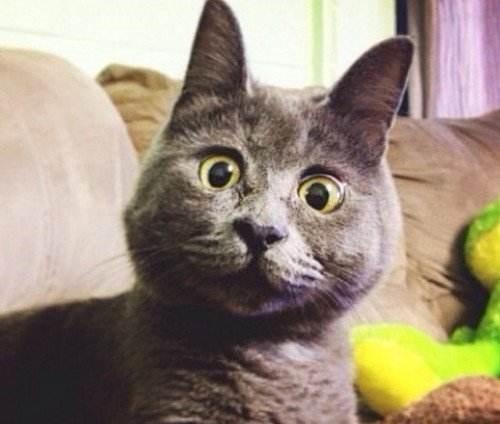 网安专家变黑客，边防护边敲诈