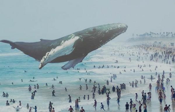 Magic Leap，我等你到明年7月