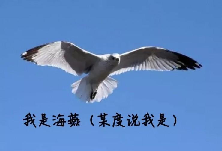 这可能是敏感词最多的一场国密加密产品发布会