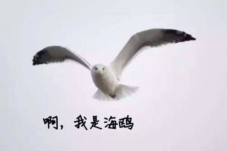 这可能是敏感词最多的一场国密加密产品发布会