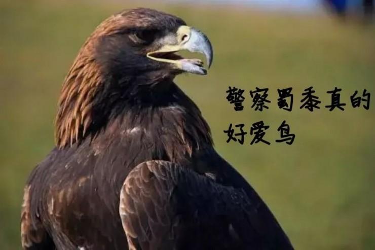 这可能是敏感词最多的一场国密加密产品发布会