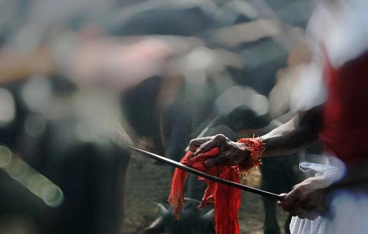 看完“杀猪盘”新人培训手册,能躲开骗财骗爱的屠夫