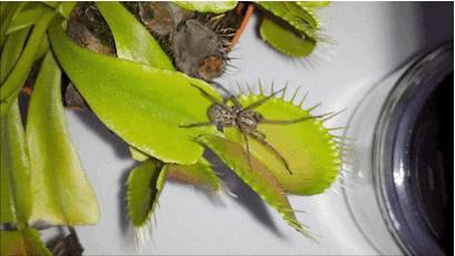 这个由中国黑客研究的&ldquo;超级欺骗系统&rdquo;，究竟能做什么？