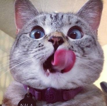 重大消息！公安机关抓了一个手握 50 多亿条公民个人信息的黑产团伙