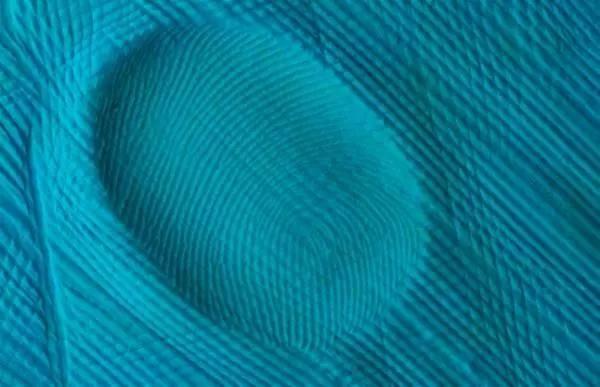 细思极恐!带指纹解锁的手机更安全吗?