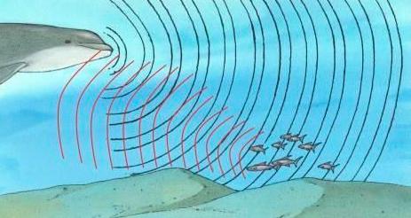 不联网、不插U盘，黑客用声音直接整垮你的硬盘