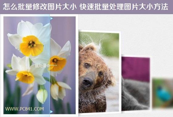 怎么批量修改图片大小 快速批量处理图片大小方法