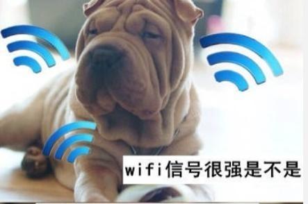 手机如何蹭网?路由器默认密码大公开