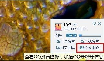 QQ拼音输入法如何点亮图标 QQ拼音输入法点亮图标方法