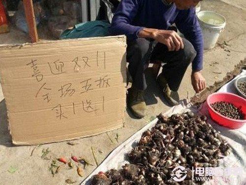双十一网购猫腻多 精编购机防忽悠指南