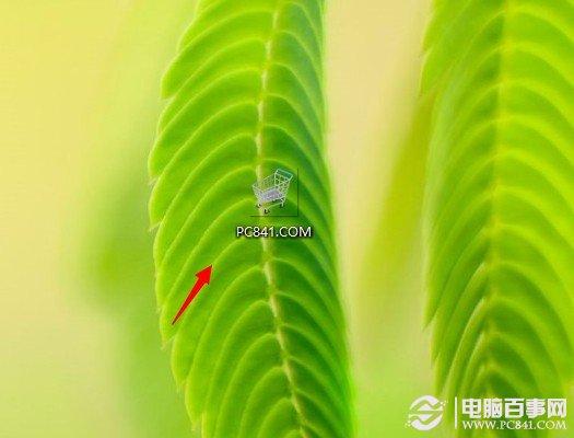 怎么看一张图片是不是透明的?