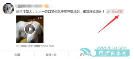 微博秒拍视频怎么保存  微博秒拍视频怎么下载