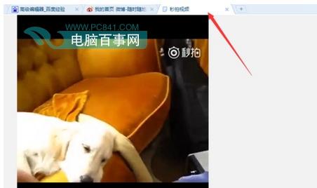 微博秒拍视频怎么保存  微博秒拍视频怎么下载