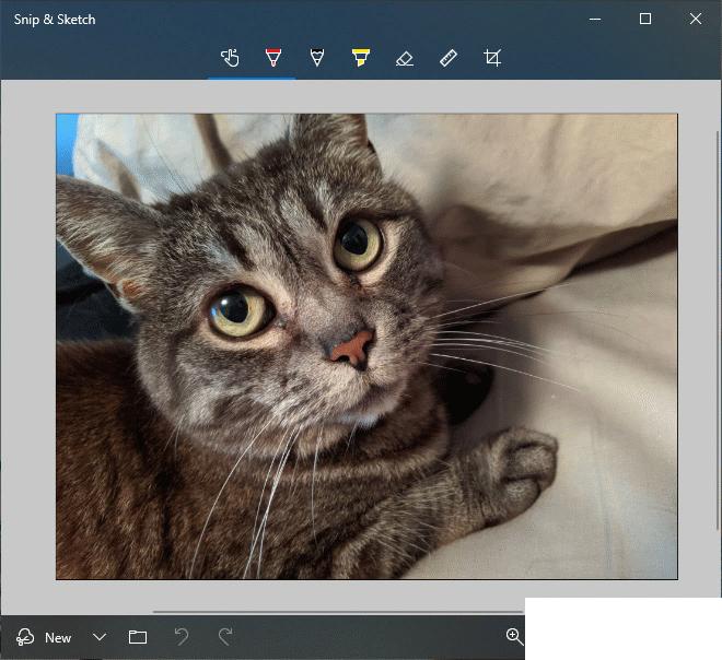 截图和草图升级，微软Windows 10 20H1预览版18950更新内容大全