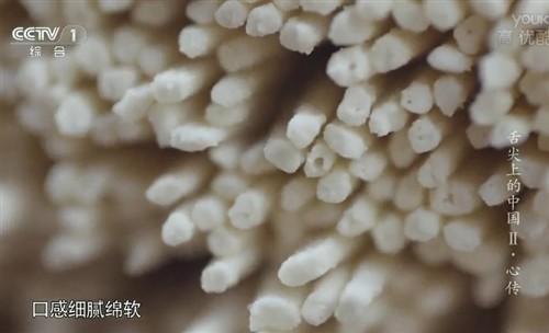 心口相传话传承 细品舌尖2第二集美食
