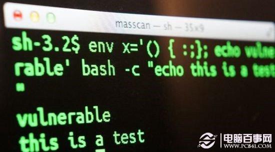 Bash是什么 Bash是什么意思?