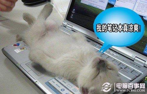 笔记本散热不好怎么办 笔记本散热不好的原因与解决办法
