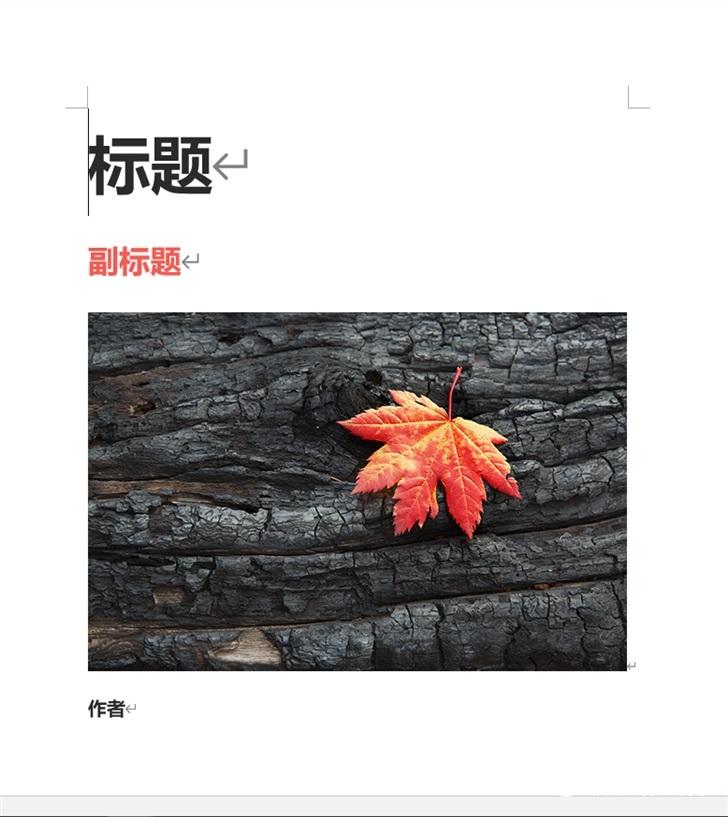 场景体验：如何用 Microsoft 365 更高效地完成毕业论文