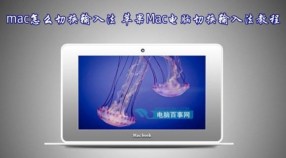 mac怎么切换输入法 苹果Mac电脑切换输入法教程