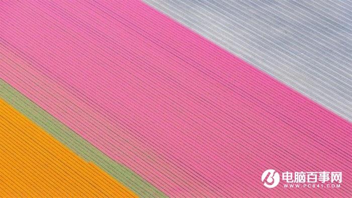 感受农田独特魅力：微软放出全新免费4K主题包