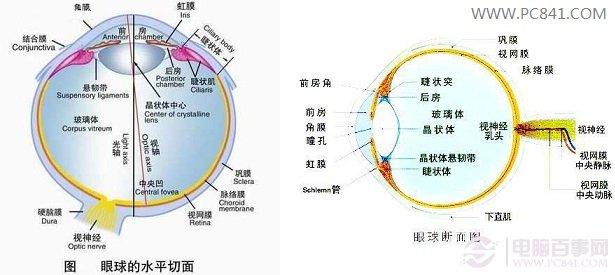 怎样恢复视力 500度以下恢复视力的方法
