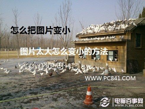 怎么把图片变小 图片太大怎么变小的方法