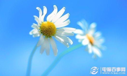 桌面图标无法拖动或自由移动的解决办法