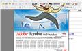 adobe acrobat截图