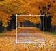 FutCrop 1.1截图