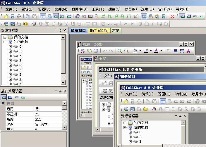 FullShot Enterprise 9.5.1.9截图