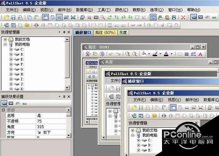 FullShot Enterprise 9.5.1.9截图