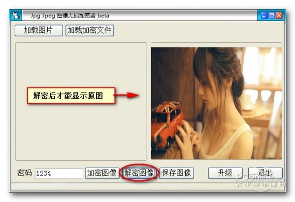 Jpg Jpeg图像无损加密器截图