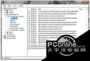 Belkasoft Browser Analyzer Ultimate 2.0 Build截图