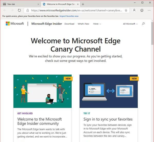 Microsoft Edge Canary(Chromium Edge金丝雀版)