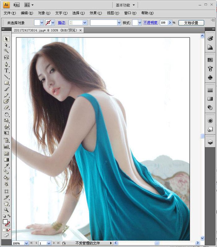 Adobe Illustrator CS4 绿色简体中文版 Adobe Illustrator CS4