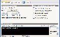 X-BIOS Editor截图