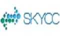 skycc网站收录与权重批量查询工具截图