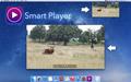 大华视频播放器(Smart Player)截图