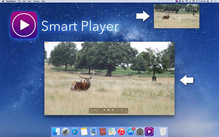 大华视频播放器(Smart Player)截图