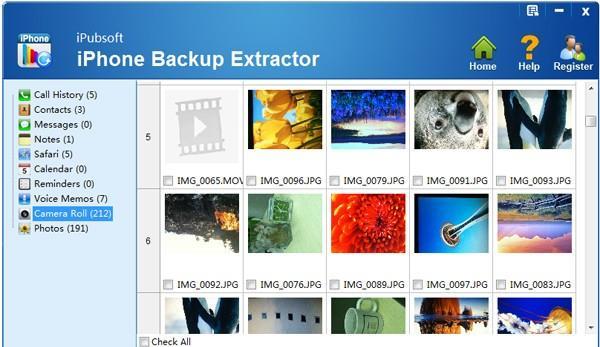 iPubsoft iPhone Backup Extractor(ios数据恢复软件)