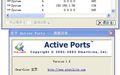 Active Ports(网络端口查看)截图