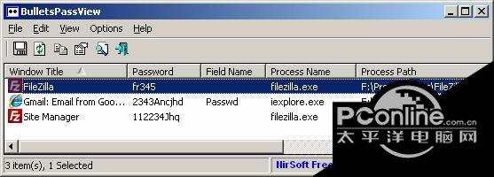 BulletsPassView x64 1.32截图