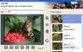 NeroVision Express 3.1.0.25截图