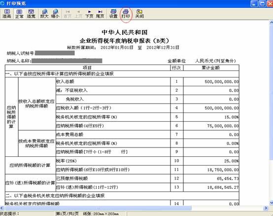 网上报税打印控件截图
