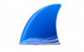 Wireshark中文版 3.2.1截图