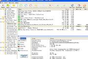 BitComet (64-bit) 1.38截图