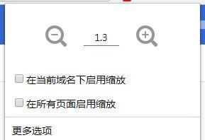 页面缩放Chrome插件截图