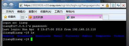 向日葵远程控制软件主控端Linux版截图