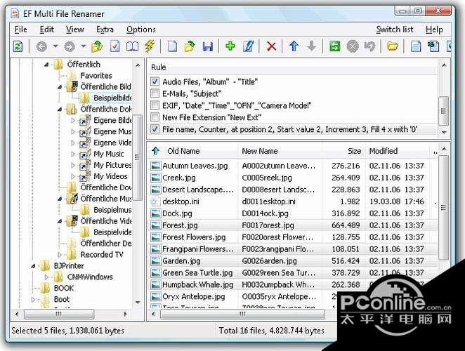 EF Multi File Renamer截图